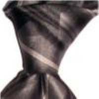 Cadouri : cravata matase naturala model M40 - Clic pt a inchide